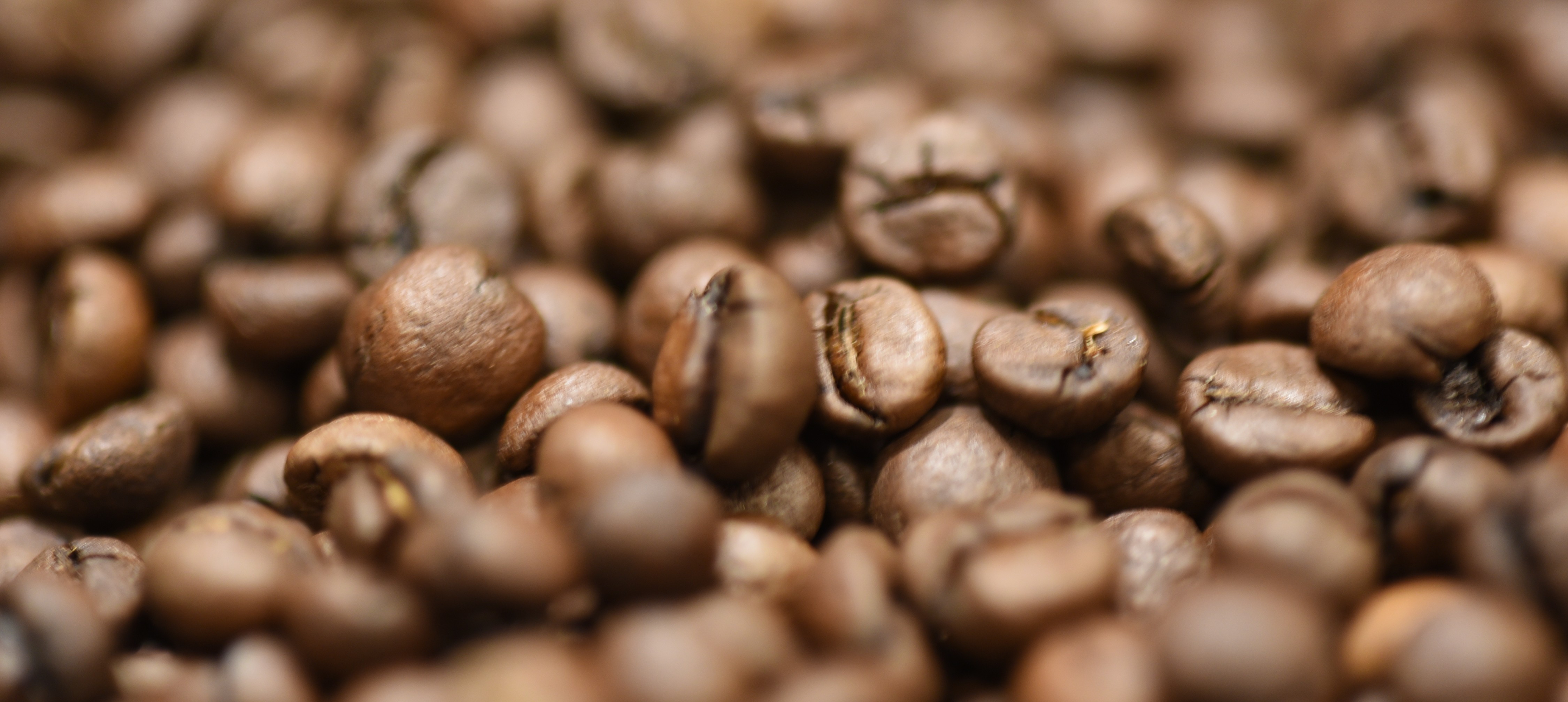 コーヒー豆の写真